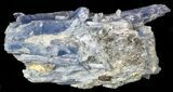 Vibrant Blue Kyanite Crystals In Quartz - Brazil #56935-1